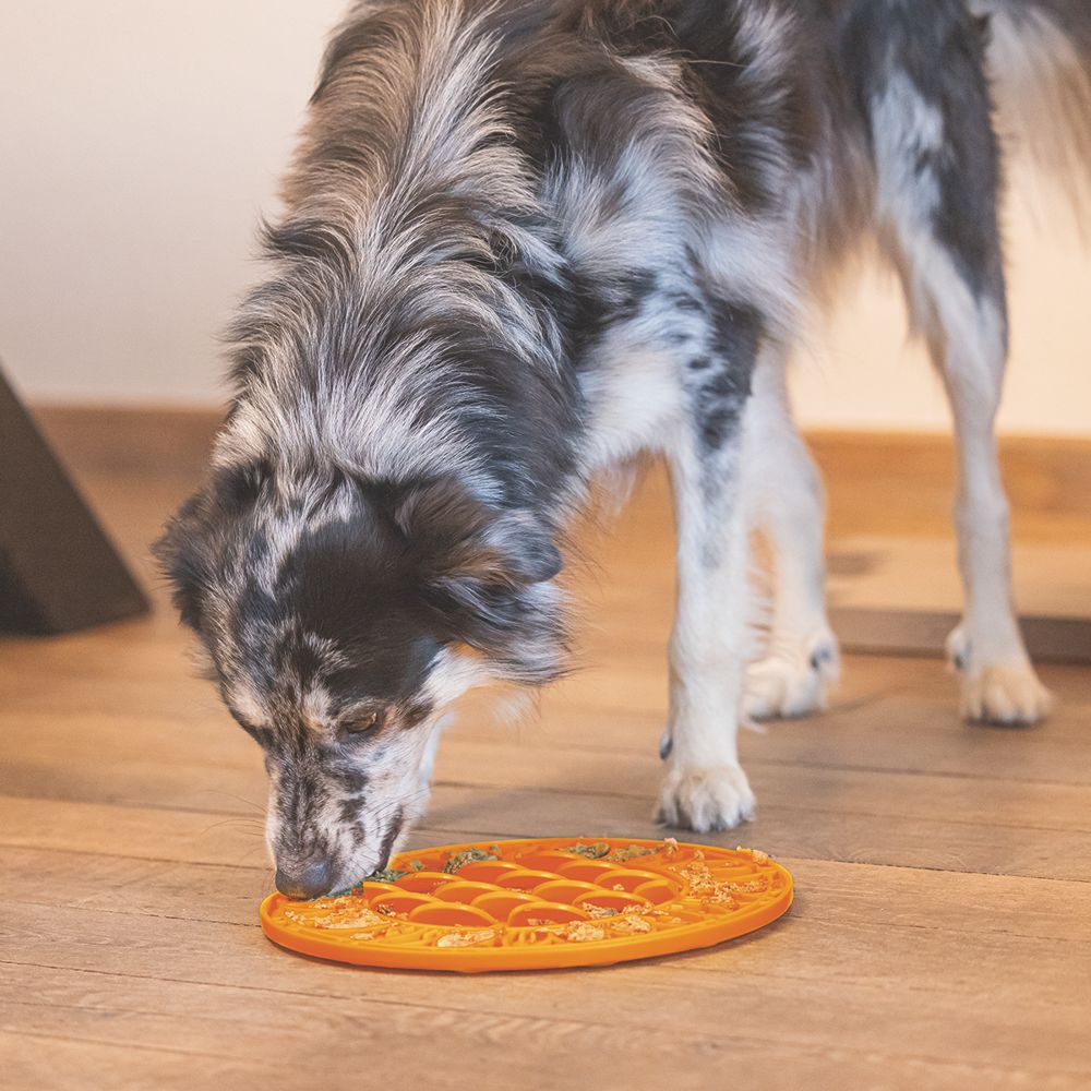 Beeztees Silikon Leckmatte Sonnenblume - Hund - Schleckmatte Anti-Schlingmatte