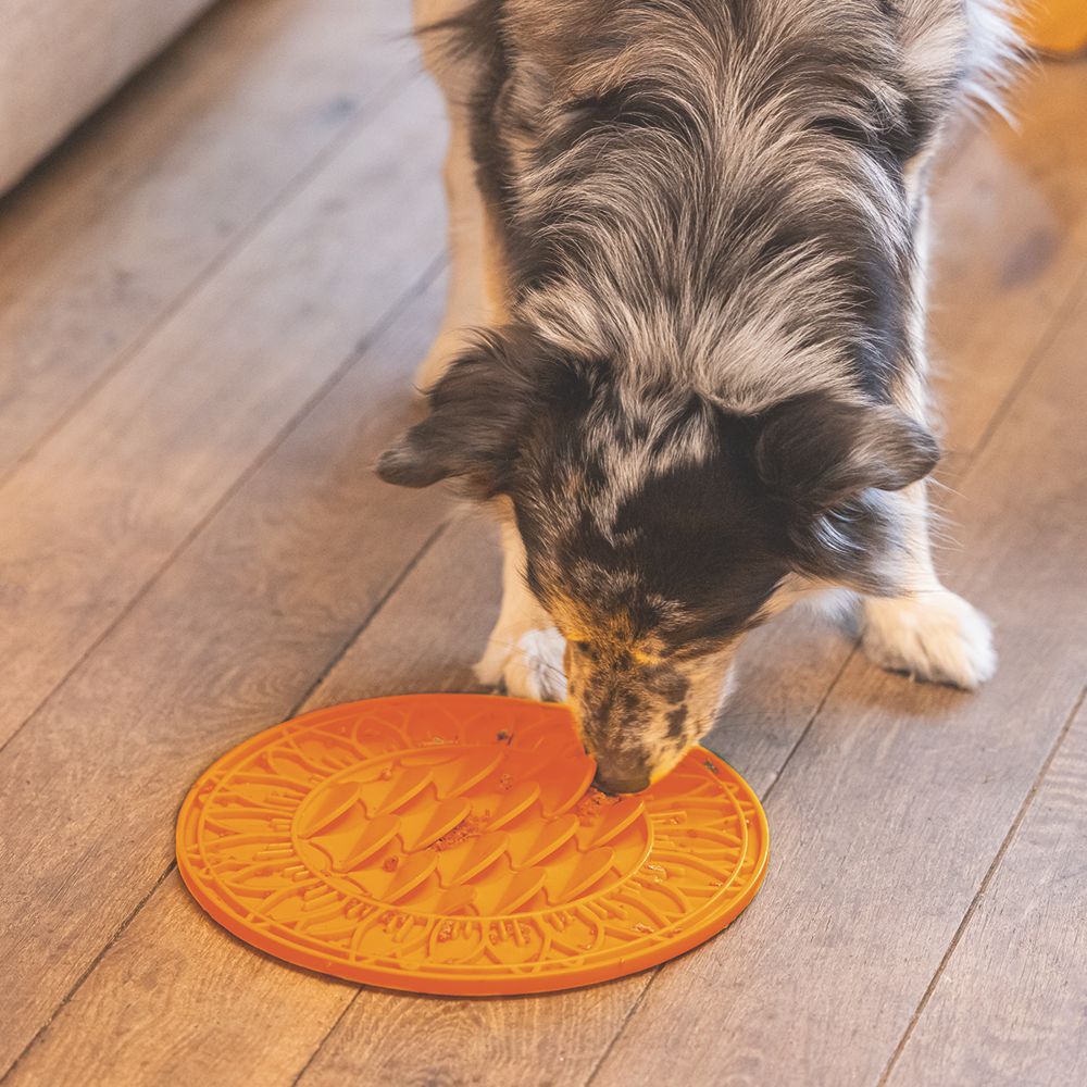 Beeztees Silikon Leckmatte Sonnenblume - Hund - Schleckmatte Anti-Schlingmatte