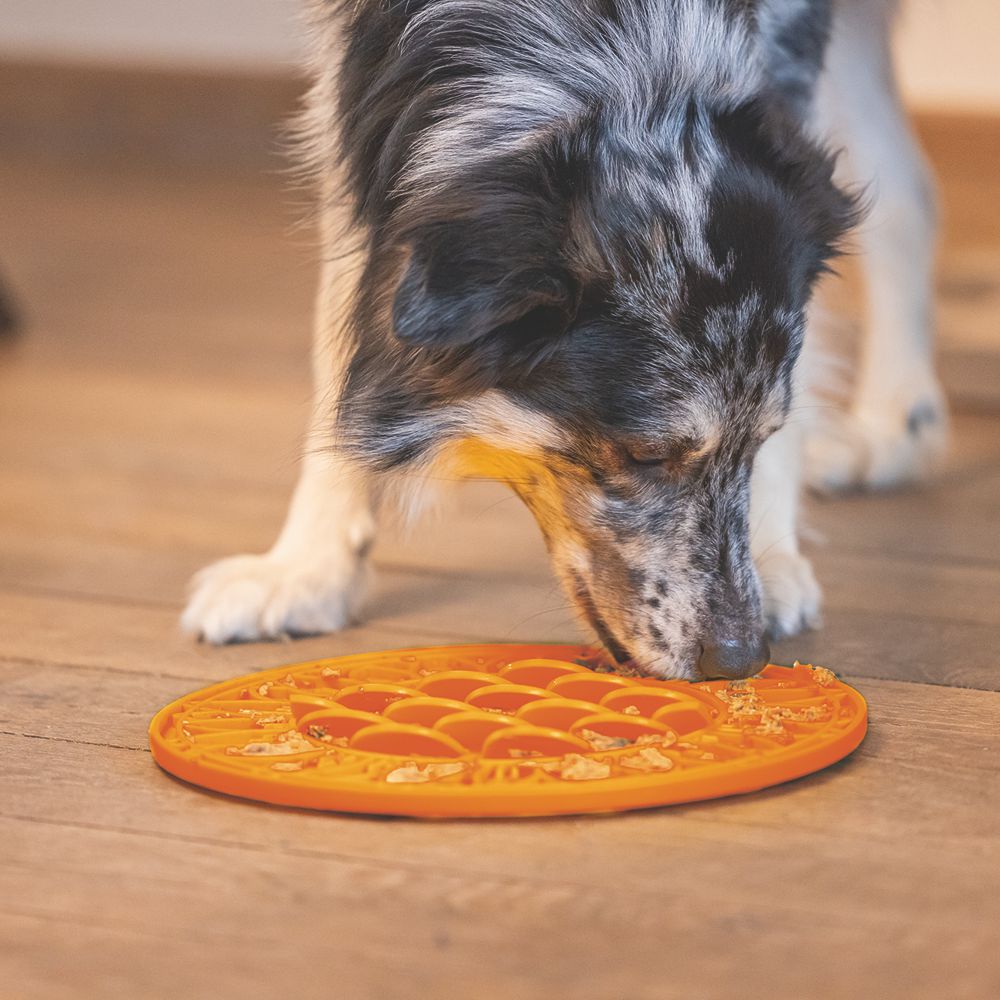 Beeztees Silikon Leckmatte Sonnenblume - Hund - Schleckmatte Anti-Schlingmatte