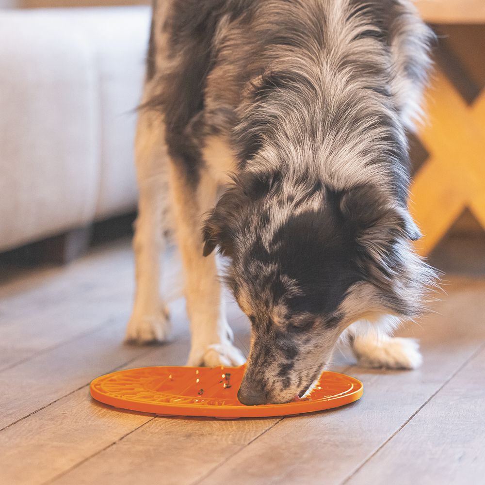 Beeztees Silikon Leckmatte Sonnenblume - Hund - Schleckmatte Anti-Schlingmatte