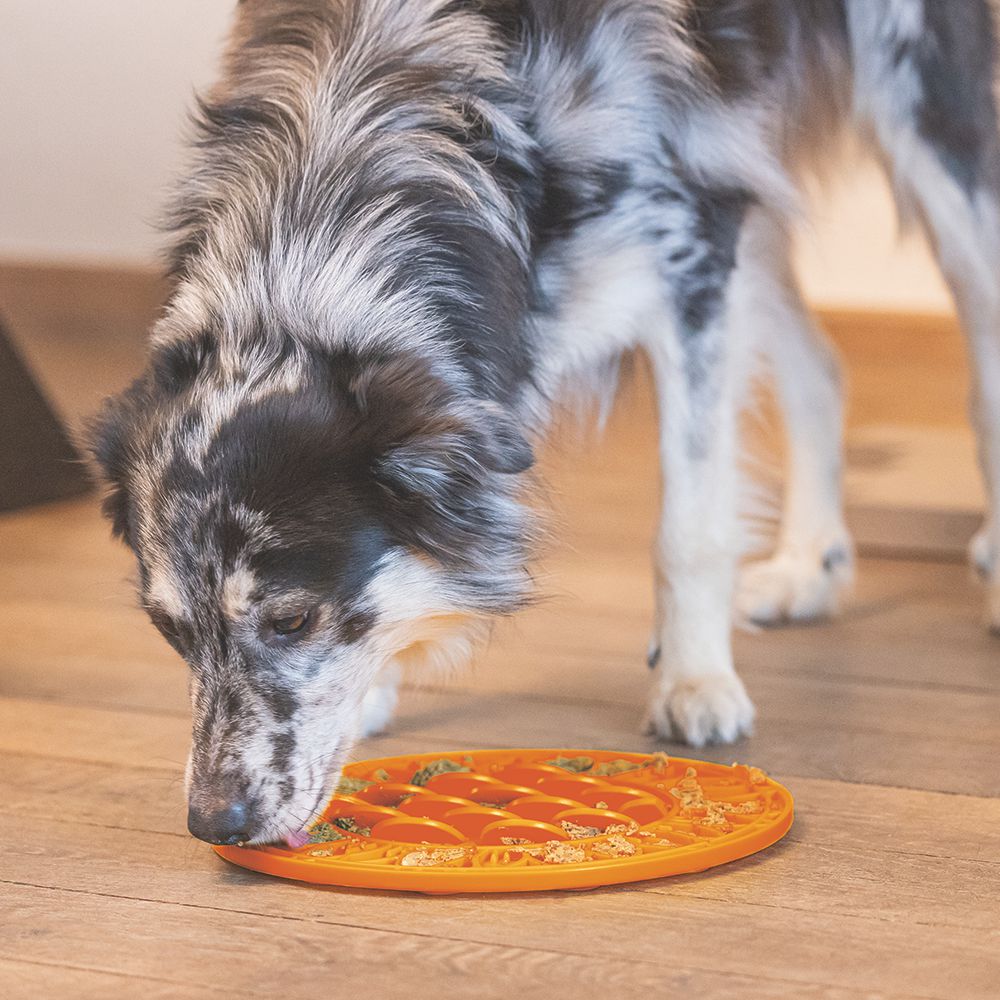 Beeztees Silikon Leckmatte Sonnenblume - Hund - Schleckmatte Anti-Schlingmatte