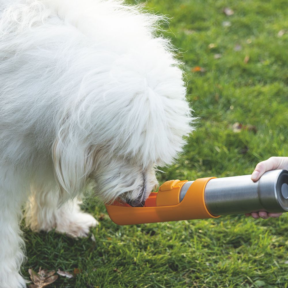 Beeztees Edelstahl-Trinkflasche - Wassernapf Reisenapf Wasserflasche unterwegs
