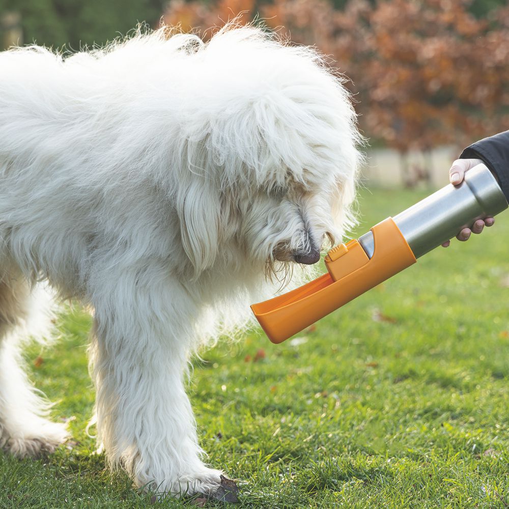 Beeztees Edelstahl-Trinkflasche - Wassernapf Reisenapf Wasserflasche unterwegs