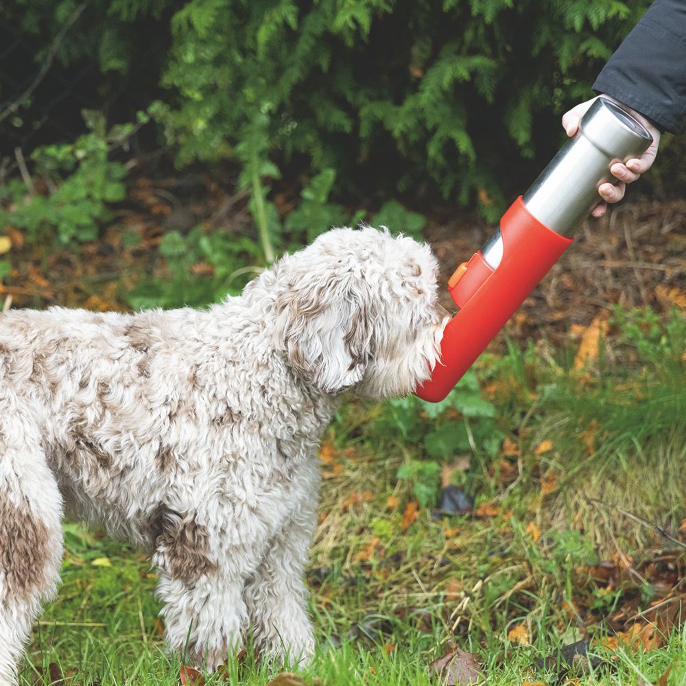 Beeztees Edelstahl-Trinkflasche - Wassernapf Reisenapf Wasserflasche unterwegs