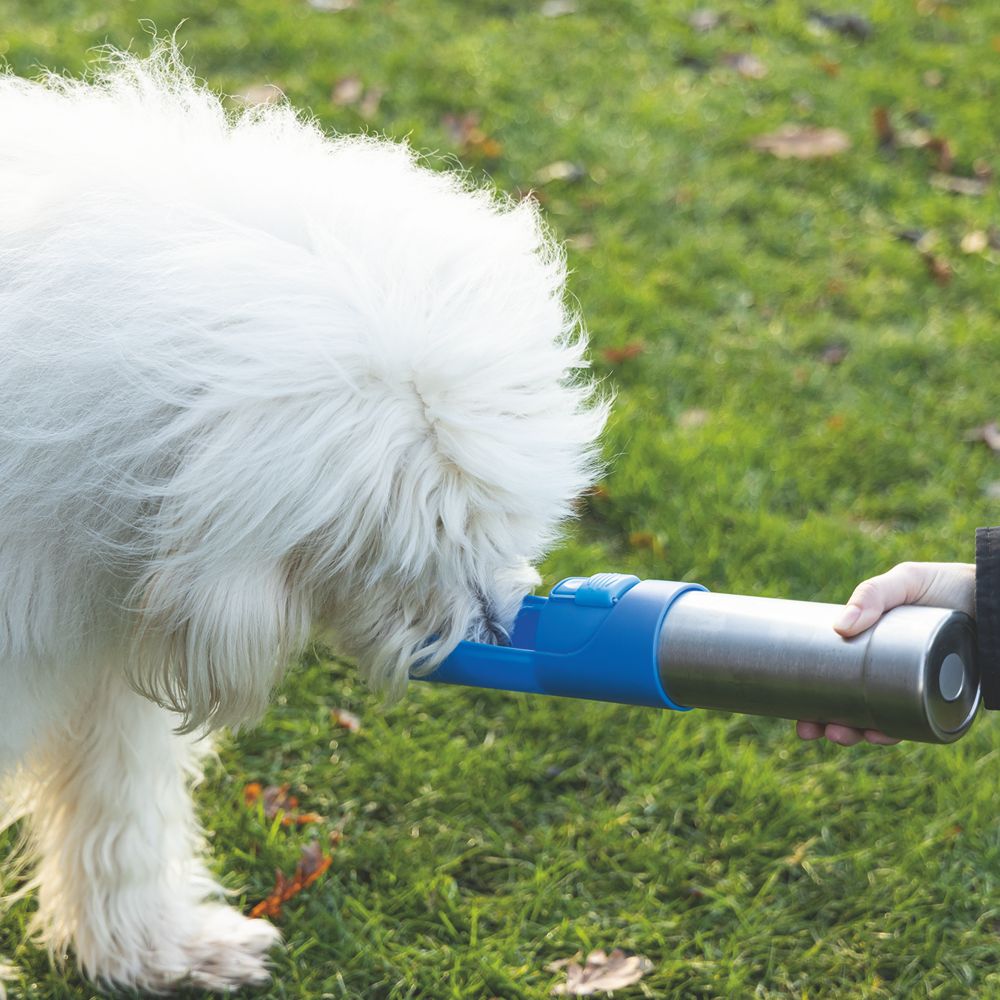 Beeztees Edelstahl-Trinkflasche - Wassernapf Reisenapf Wasserflasche unterwegs