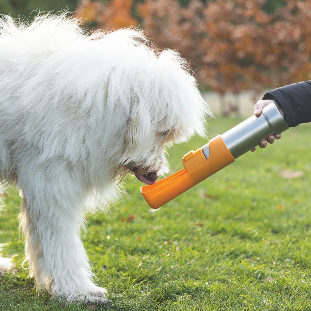 Beeztees Edelstahl-Trinkflasche - Wassernapf Reisenapf Wasserflasche unterwegs
