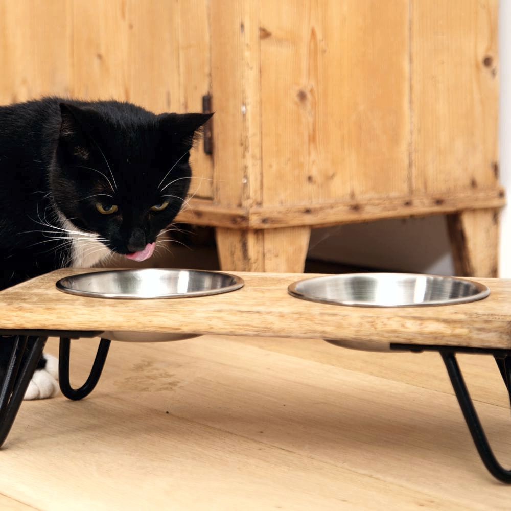 Designed by Lotte - Dinnerset LINGA für Katzen - Holz - mit 2 Edelstahl-Näpfen