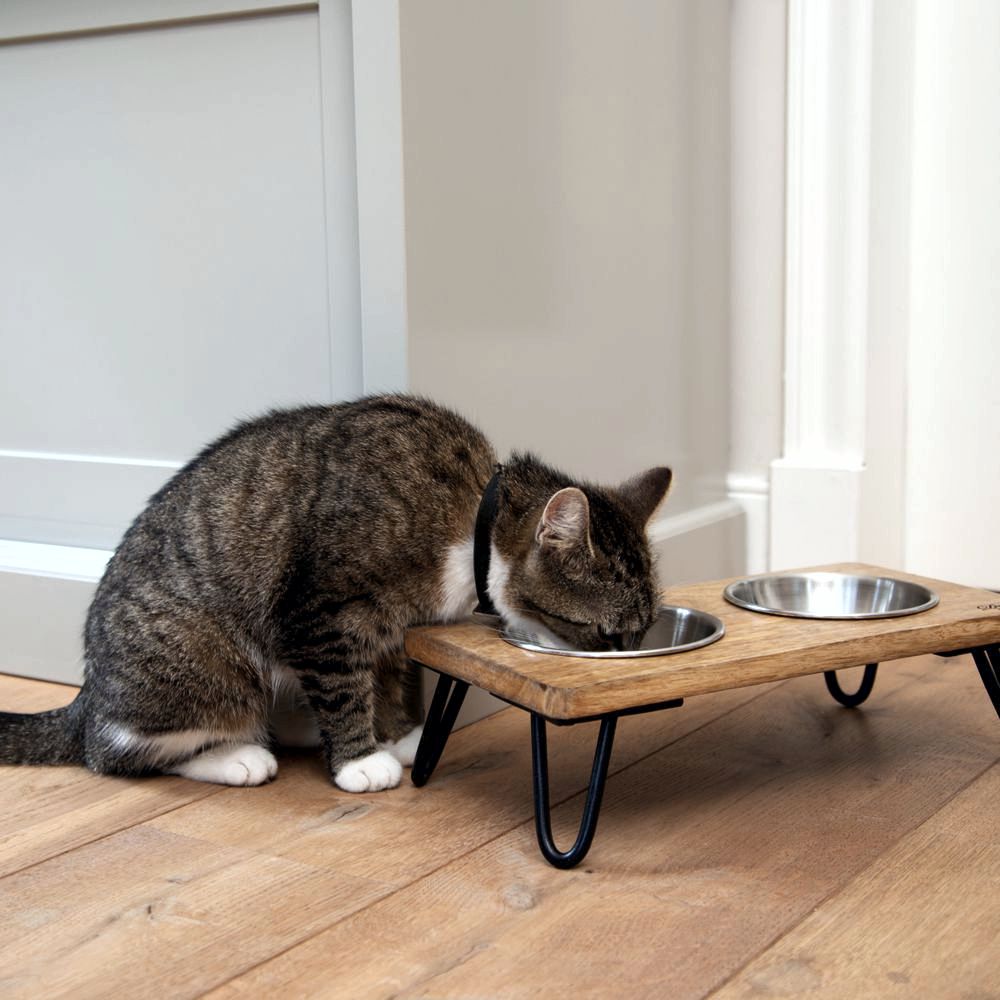 Designed by Lotte - Dinnerset LINGA für Katzen - Holz - mit 2 Edelstahl-Näpfen
