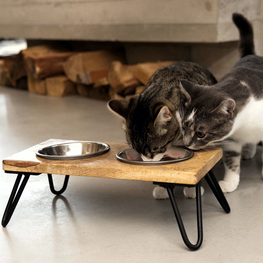 Designed by Lotte - Dinnerset LINGA für Katzen - Holz - mit 2 Edelstahl-Näpfen