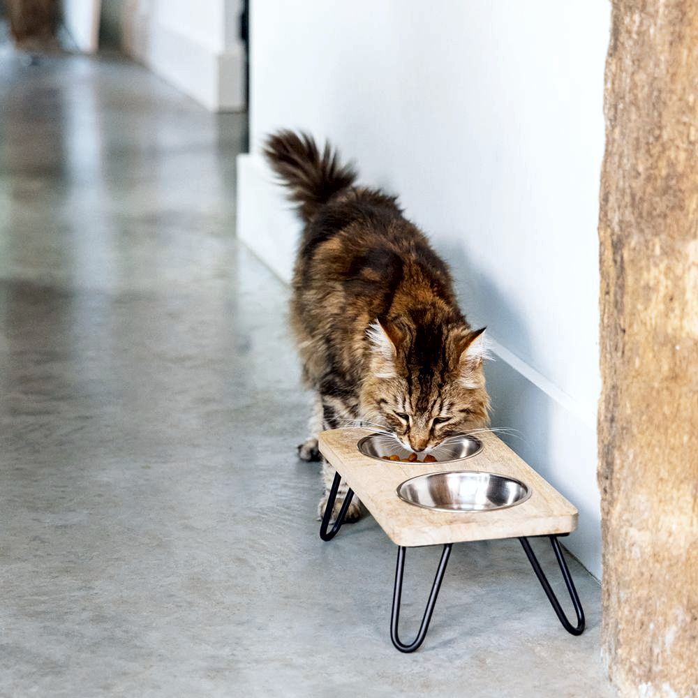 Designed by Lotte - Dinnerset LINGA für Katzen - Holz - mit 2 Edelstahl-Näpfen