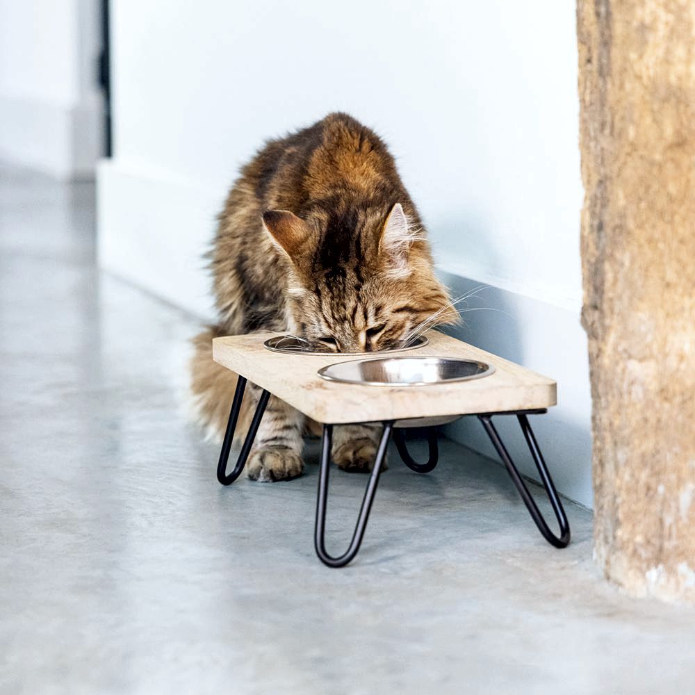 Designed by Lotte - Dinnerset LINGA für Katzen - Holz - mit 2 Edelstahl-Näpfen