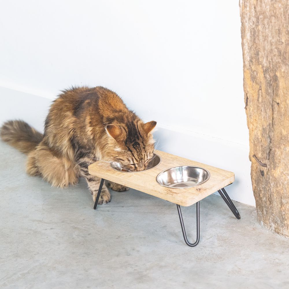 Designed by Lotte - Dinnerset LINGA für Katzen - Holz - mit 2 Edelstahl-Näpfen