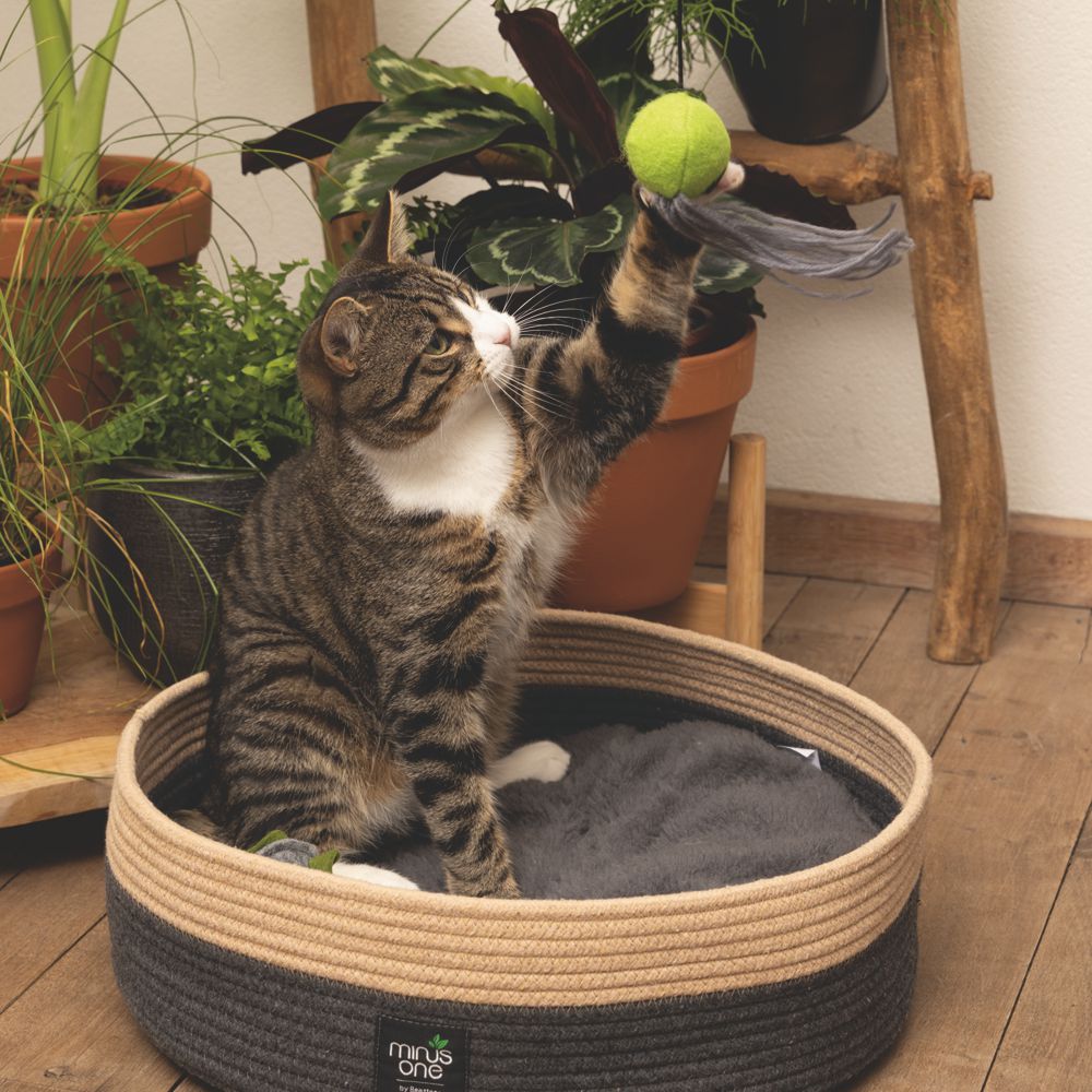 Beeztees Minus One Korb mit Kissen - Ø 45 cm - Bett Schlafplatz für Katzen