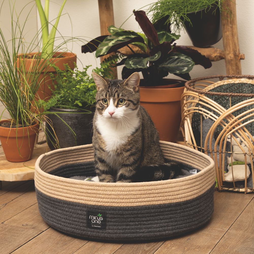 Beeztees Minus One Korb mit Kissen - Ø 45 cm - Bett Schlafplatz für Katzen