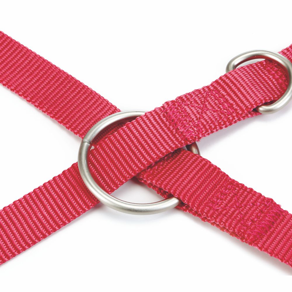 Beeztees Führleine 200 cm - pink - XS/S/M - Nylon Leine Hundeleine 2 m