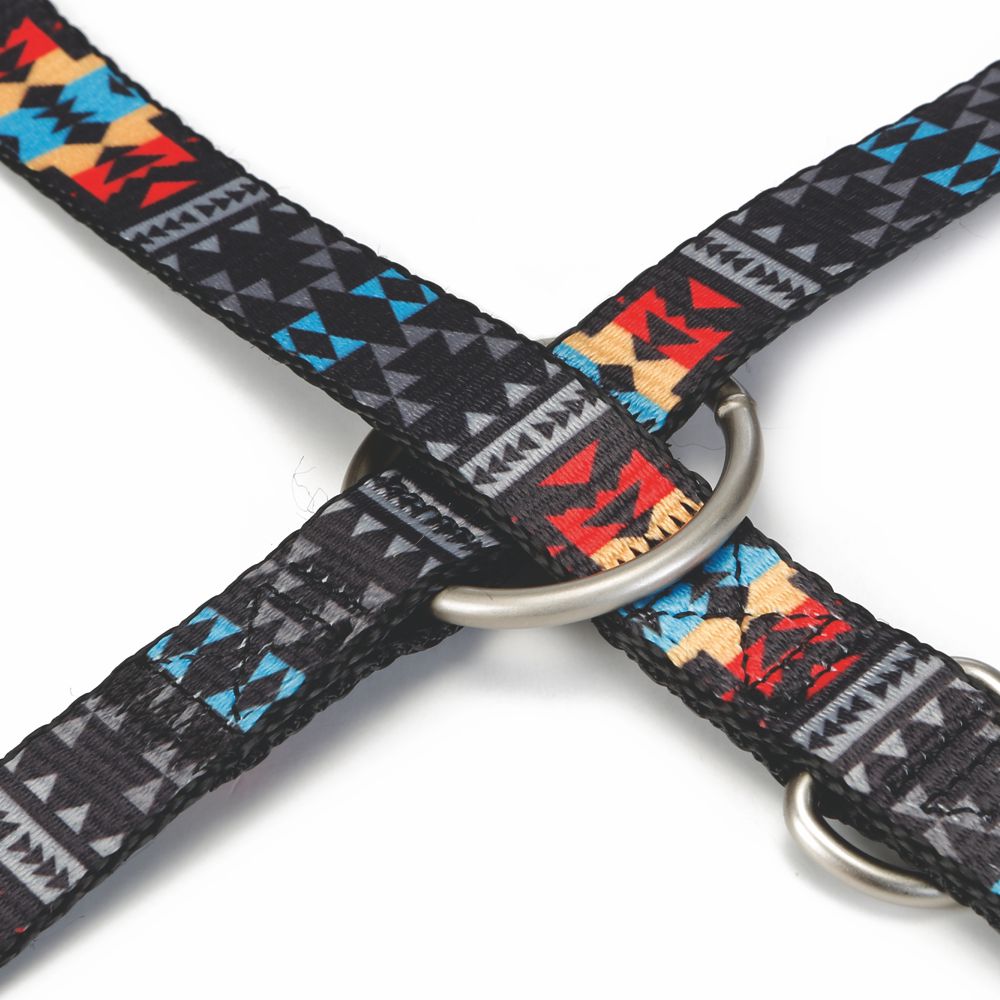 Beeztees Führleine MUCADI 200 cm - bunt - XS/S/M - Nylon Leine Hundeleine 2 m