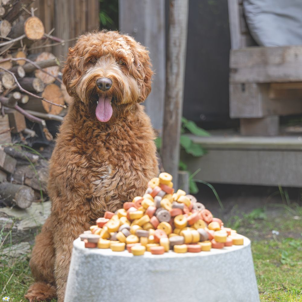 Beeztees Mjammies CHICKEN - 450 g - Hundesnacks Leckerli - mit Huhn & Getreide