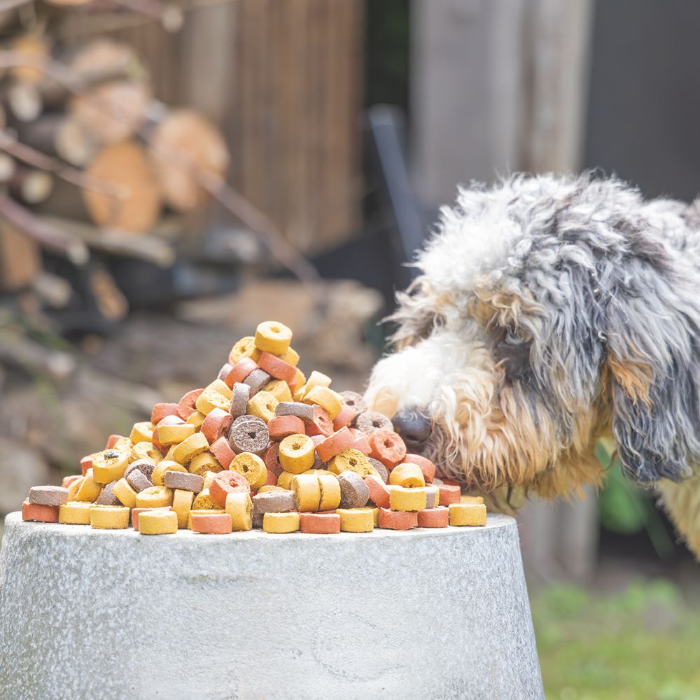 Beeztees Mjammies CHICKEN - 450 g - Hundesnacks Leckerli - mit Huhn & Getreide