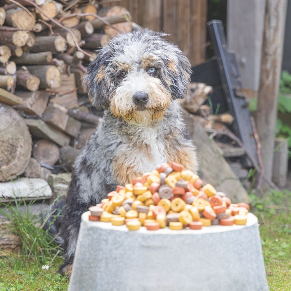 Beeztees Mjammies CHICKEN - 450 g - Hundesnacks Leckerli - mit Huhn & Getreide