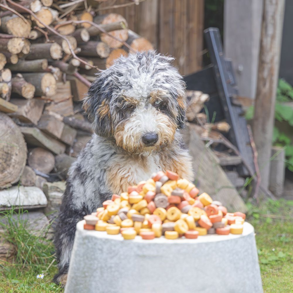 Beeztees Mjammies CHICKEN - 450 g - Hundesnacks Leckerli - mit Huhn & Getreide