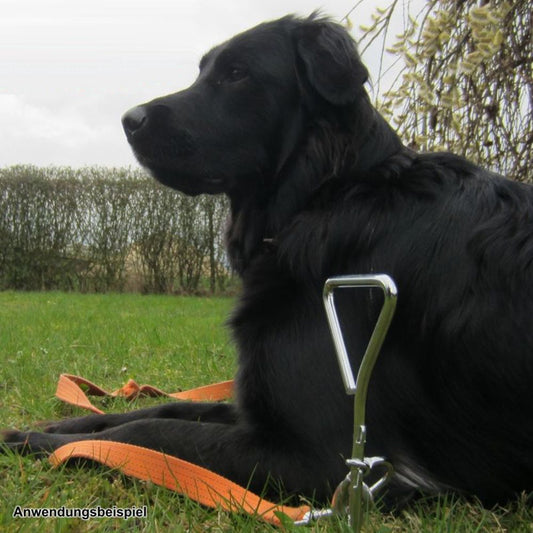 Beeztees Anlegespirale mit Seil - Hund - Anlegepflock Erdanker für unterwegs