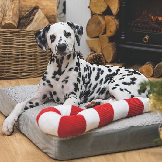 Beeztees XMAS Plüsch-Hundespielzeug Zuckerstange 33+50 cm Kuscheltier Plüschtier