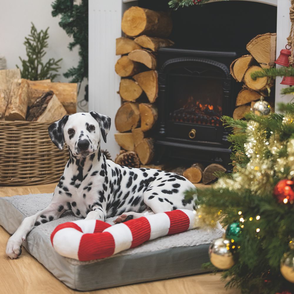 Beeztees XMAS Plüsch-Hundespielzeug Zuckerstange 33+50 cm Kuscheltier Plüschtier