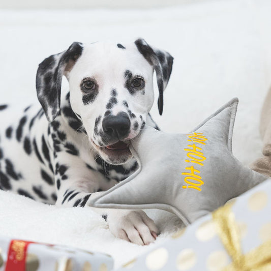 Designed by Lotte XMAS Hundespielzeug STERN & WEIHNACHTSBAUM - Samt - Kissen