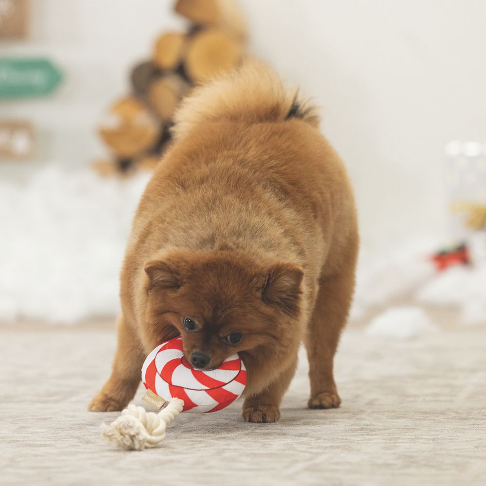 Beeztees XMAS Plüsch-Hundespielzeug Bonbon & Lutscher - Kuscheltier Plüschtier