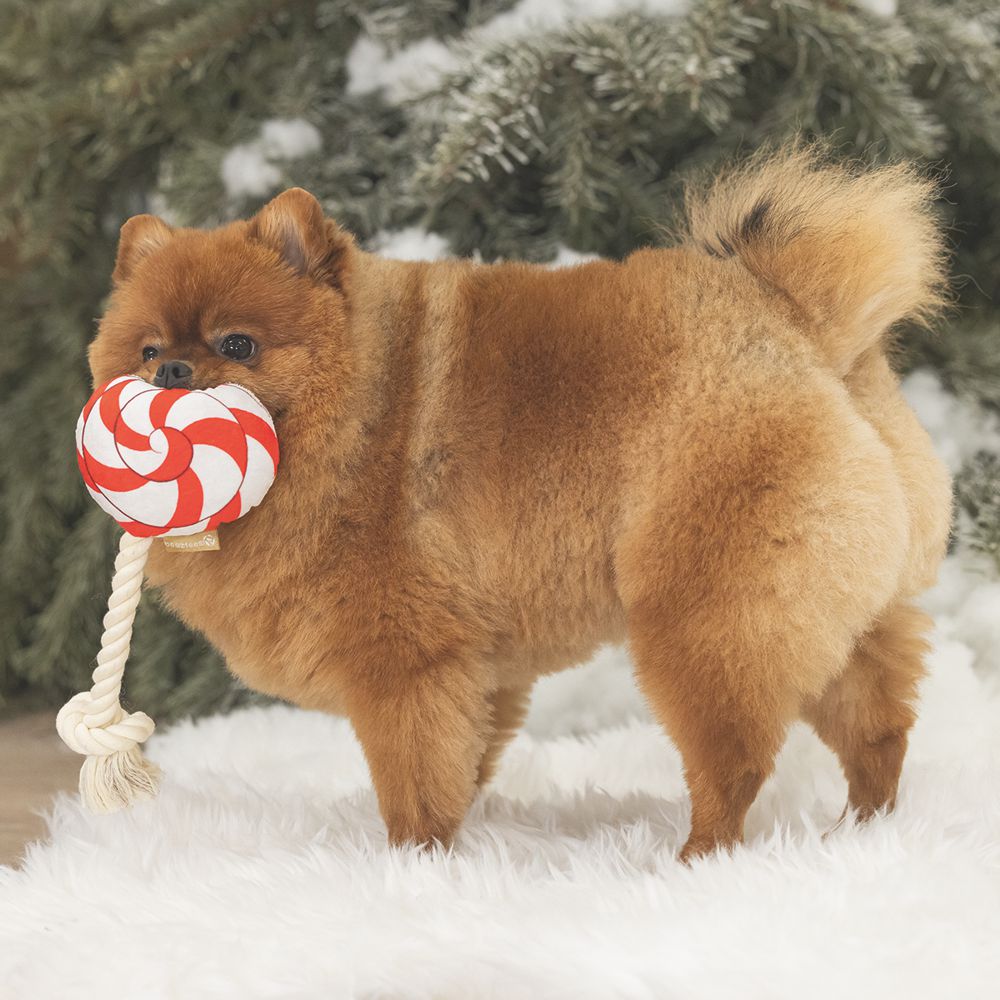 Beeztees XMAS Plüsch-Hundespielzeug Bonbon & Lutscher - Kuscheltier Plüschtier