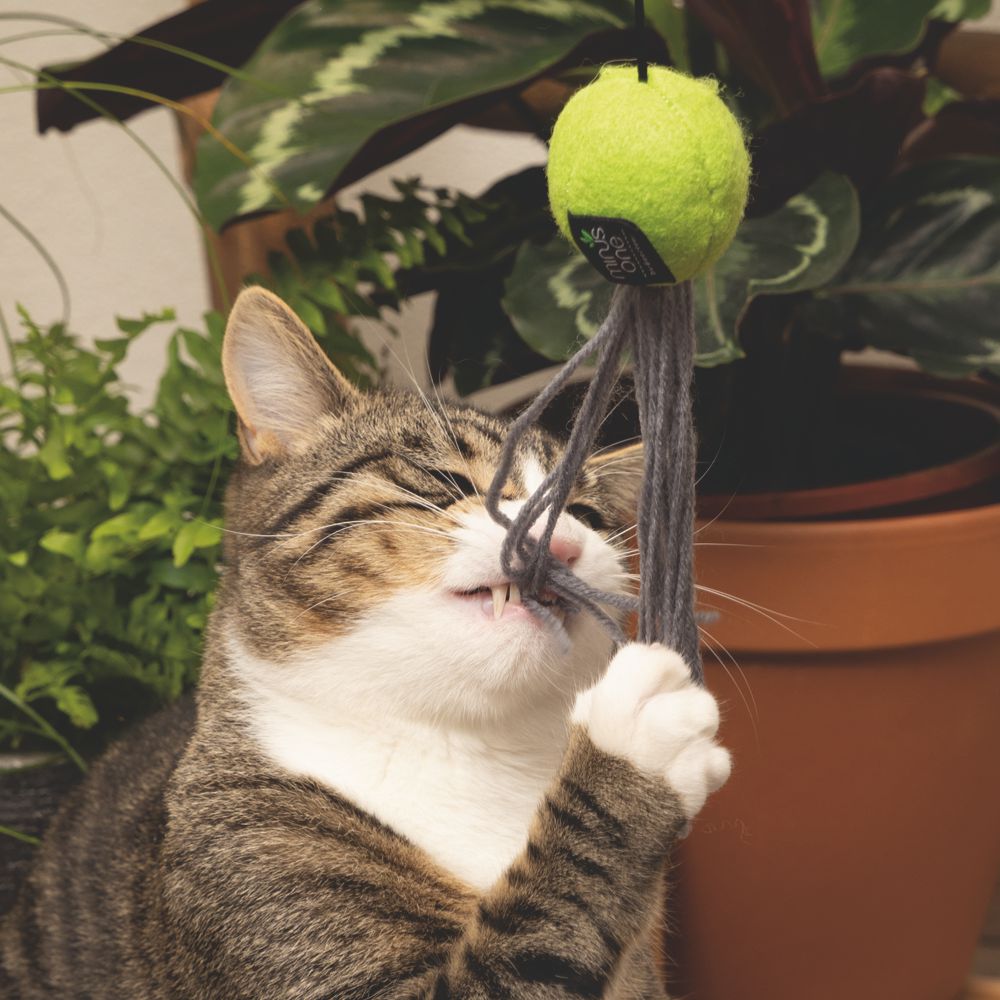 Minus One by Beeztees Katzenangel - mit Katzenminze - aus recyceltem Material