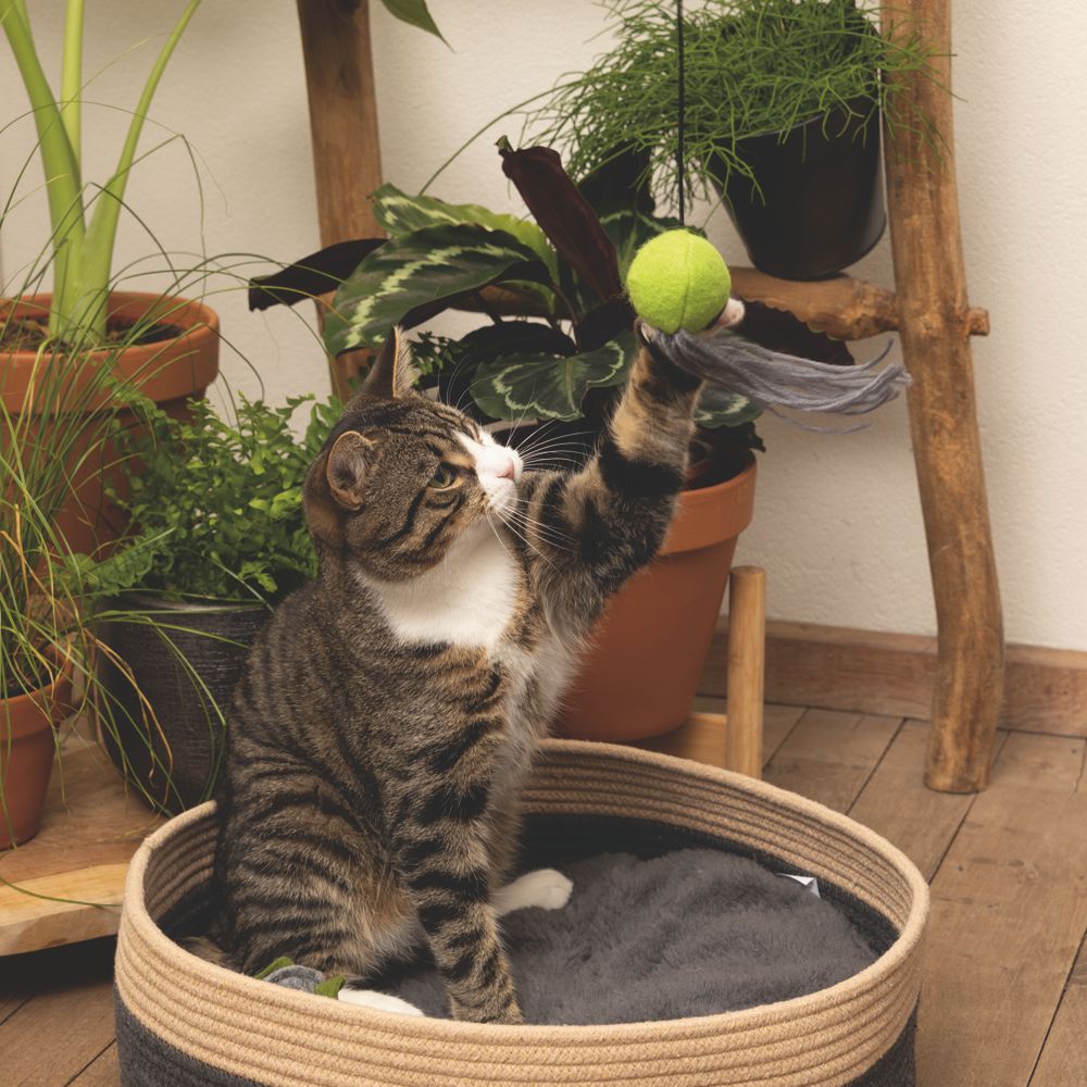 Minus One by Beeztees Katzenangel - mit Katzenminze - aus recyceltem Material