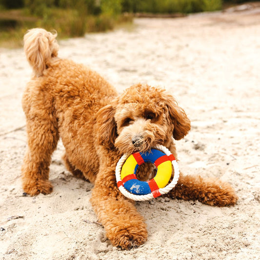 Beeztees Wasserspielzeug - Rettungsring mit Seil - schwimmt - Apportierspielzeug