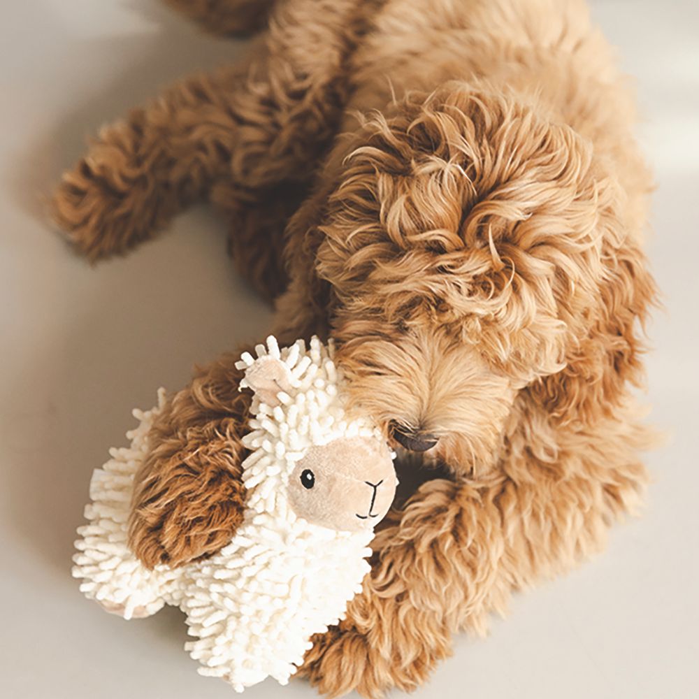 Beeztees ECO friendly Plüsch-Hundespielzeug - Welpenspielzeug - Plüschspielzeug