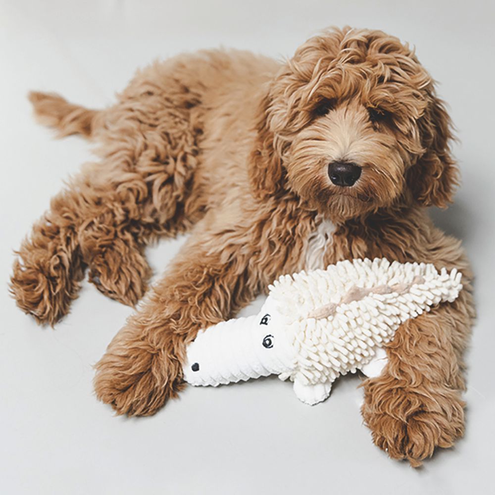 Beeztees ECO friendly Plüsch-Hundespielzeug - Welpenspielzeug - Plüschspielzeug