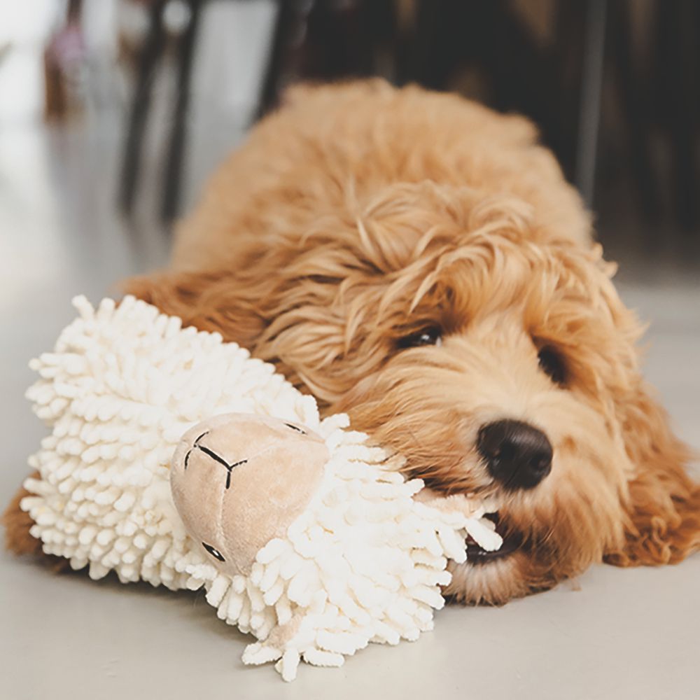 Beeztees ECO friendly Plüsch-Hundespielzeug - Welpenspielzeug - Plüschspielzeug