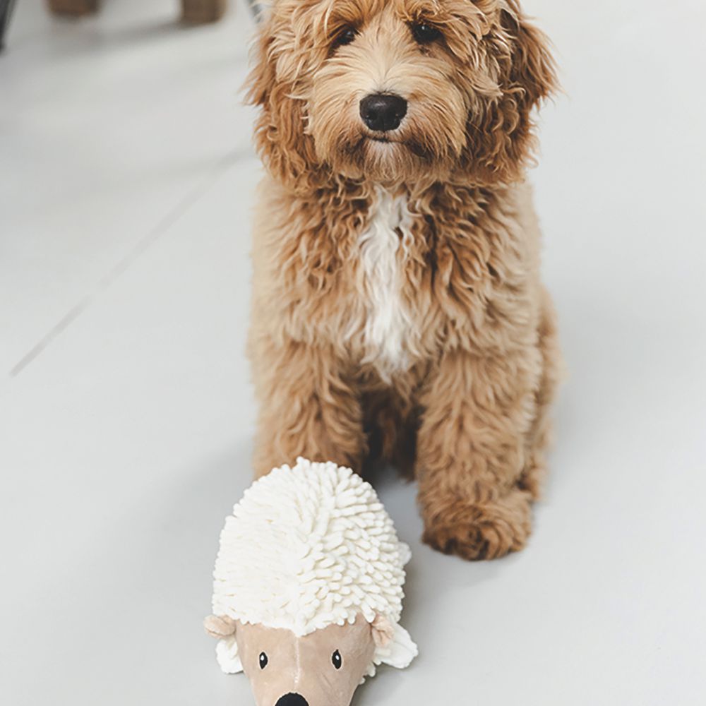 Beeztees ECO friendly Plüsch-Hundespielzeug - Welpenspielzeug - Plüschspielzeug