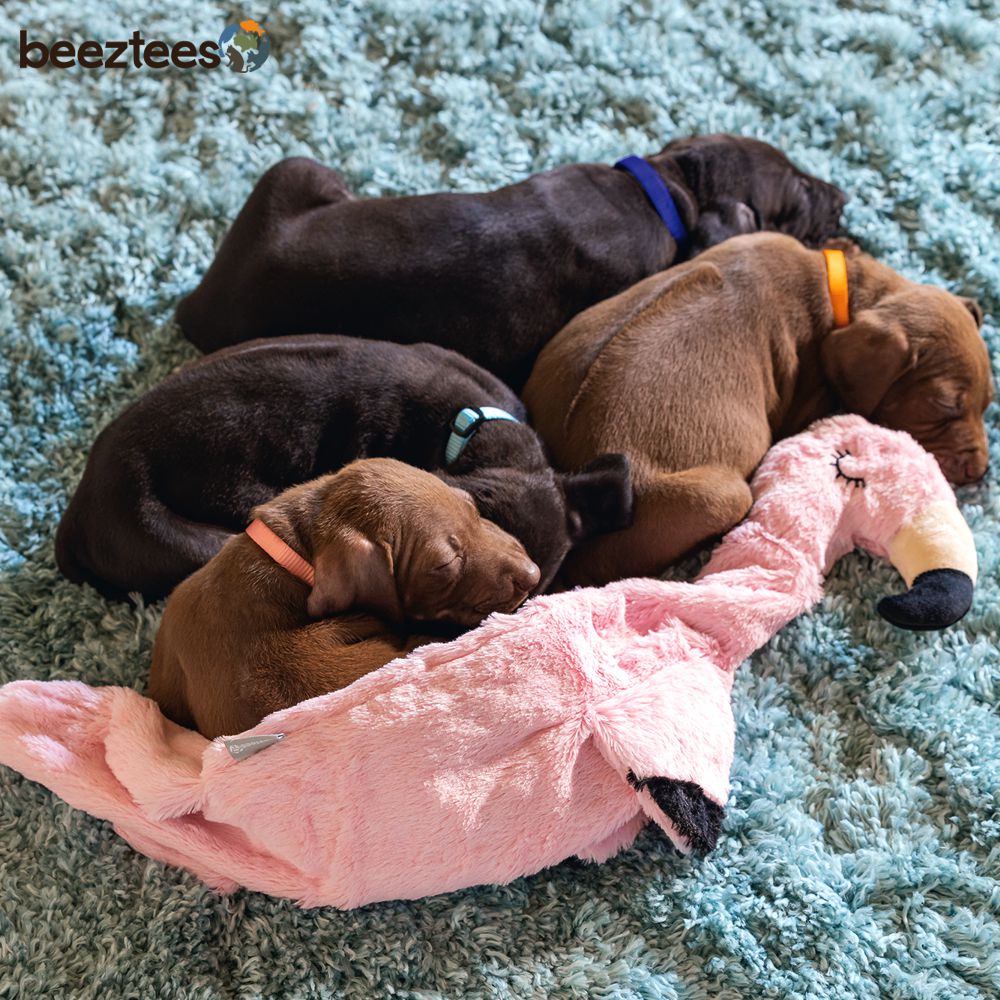 Beeztees Plüsch-Welpenspielzeug Flatino - FLAMINGO FE - Puppy Plüschspielzeug