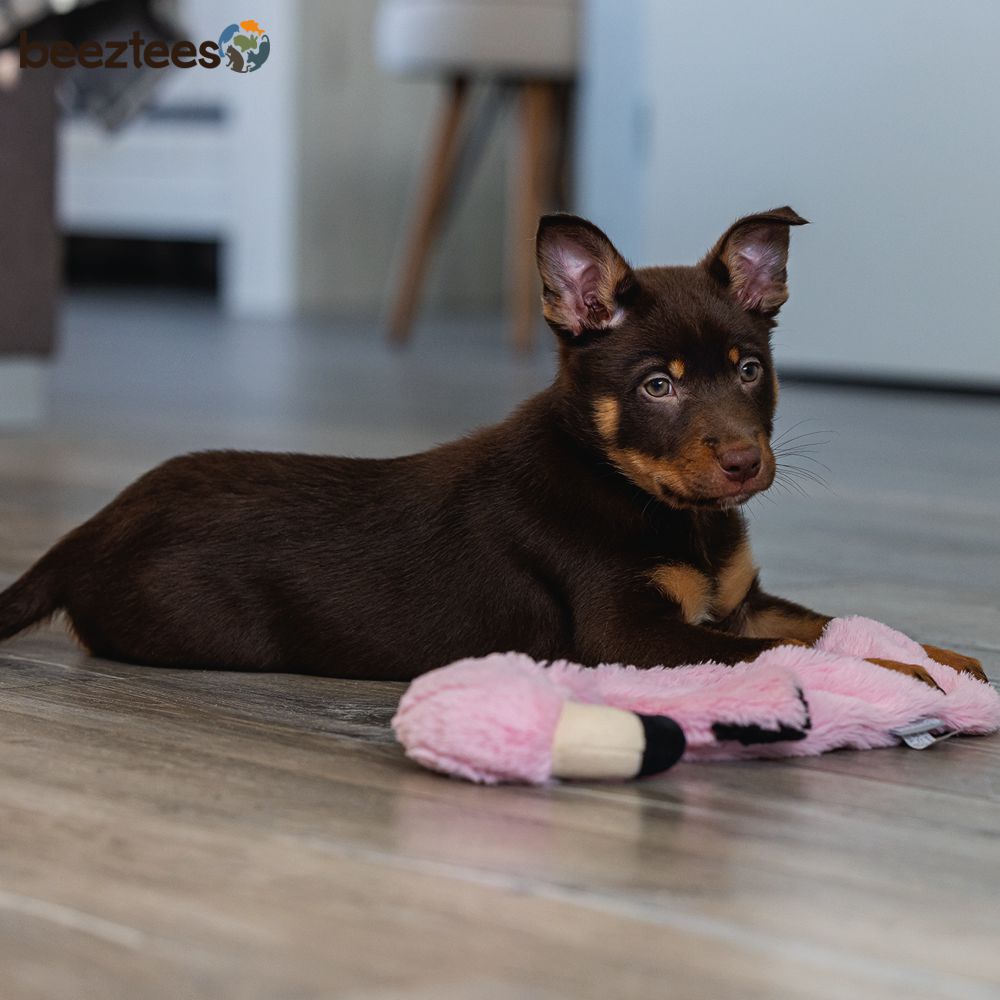 Beeztees Plüsch-Welpenspielzeug Flatino - FLAMINGO FE - Puppy Plüschspielzeug
