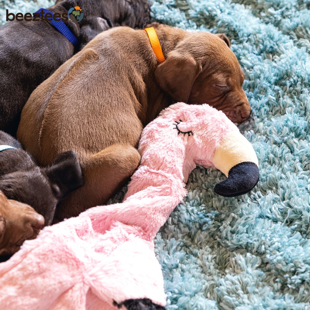 Beeztees Plüsch-Welpenspielzeug Flatino - FLAMINGO FE - Puppy Plüschspielzeug