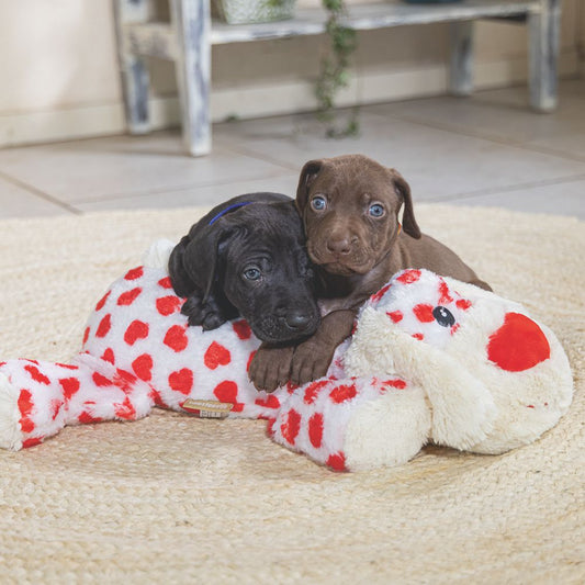 Beeztees Plüsch-Hundespielzeug KNUFFEL - 45 cm - XL Kuschelhunde Plüschspielzeug