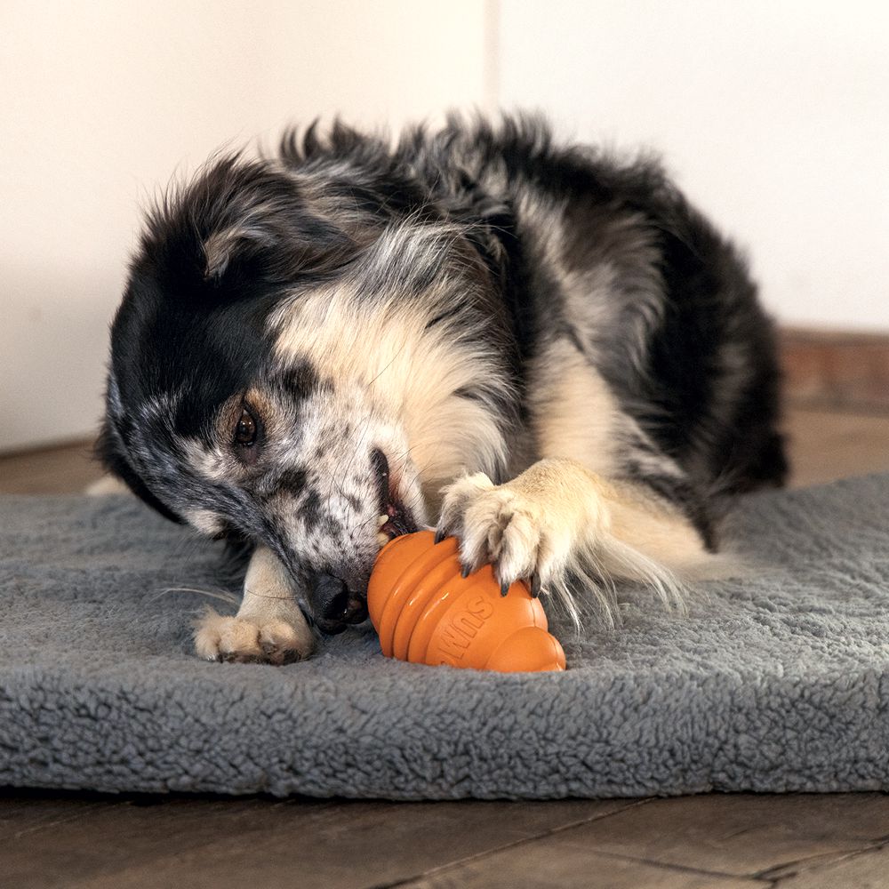 Beeztees SUMO PLAY - S/M/L - Apportierspielzeug Snackspielzeug Kauspiel Hund