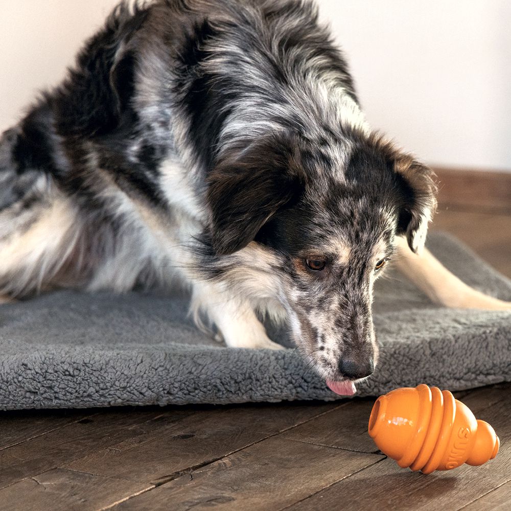 Beeztees SUMO PLAY - S/M/L - Apportierspielzeug Snackspielzeug Kauspiel Hund