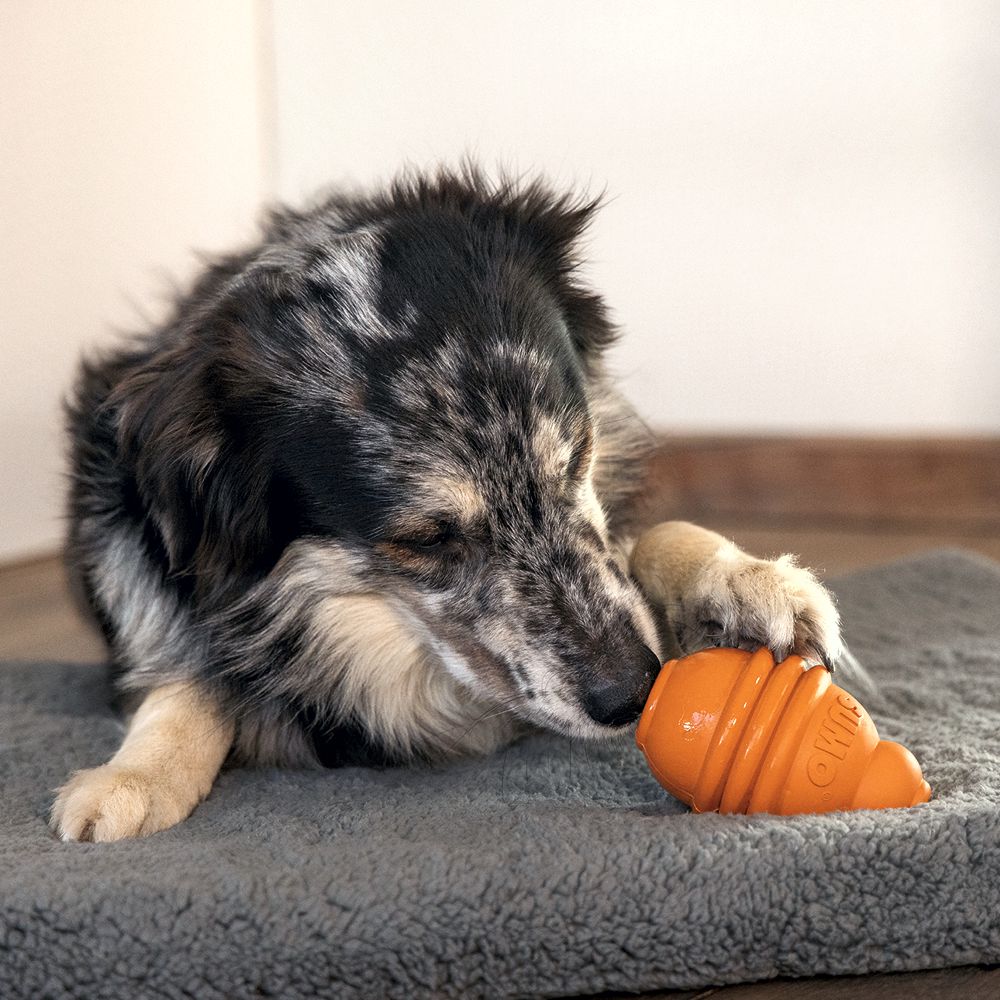 Beeztees SUMO PLAY - S/M/L - Apportierspielzeug Snackspielzeug Kauspiel Hund