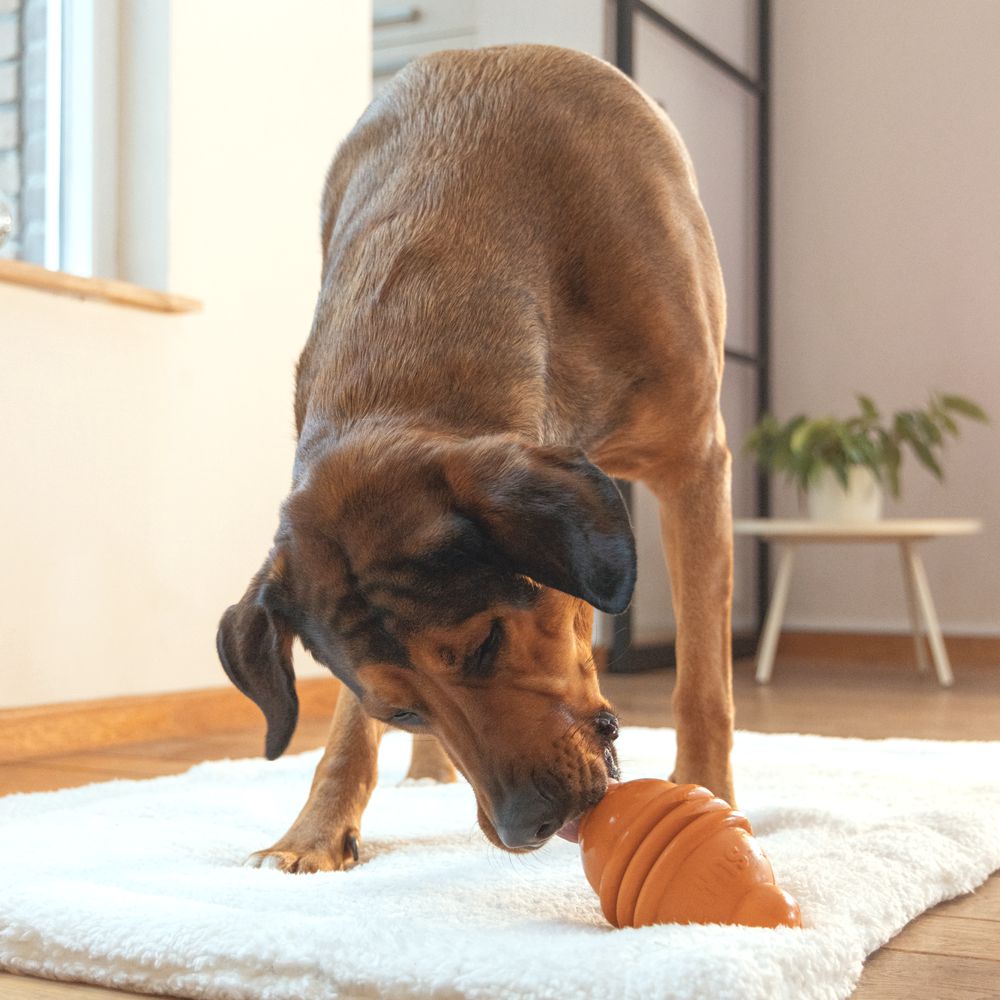 Beeztees SUMO PLAY - S/M/L - Apportierspielzeug Snackspielzeug Kauspiel Hund