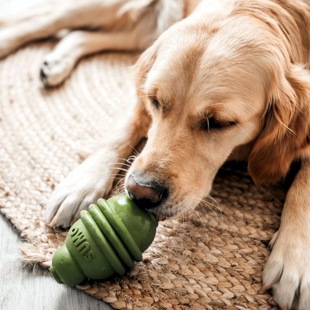 Beeztees SUMO PLAY - S/M/L - Apportierspielzeug Snackspielzeug Kauspiel Hund