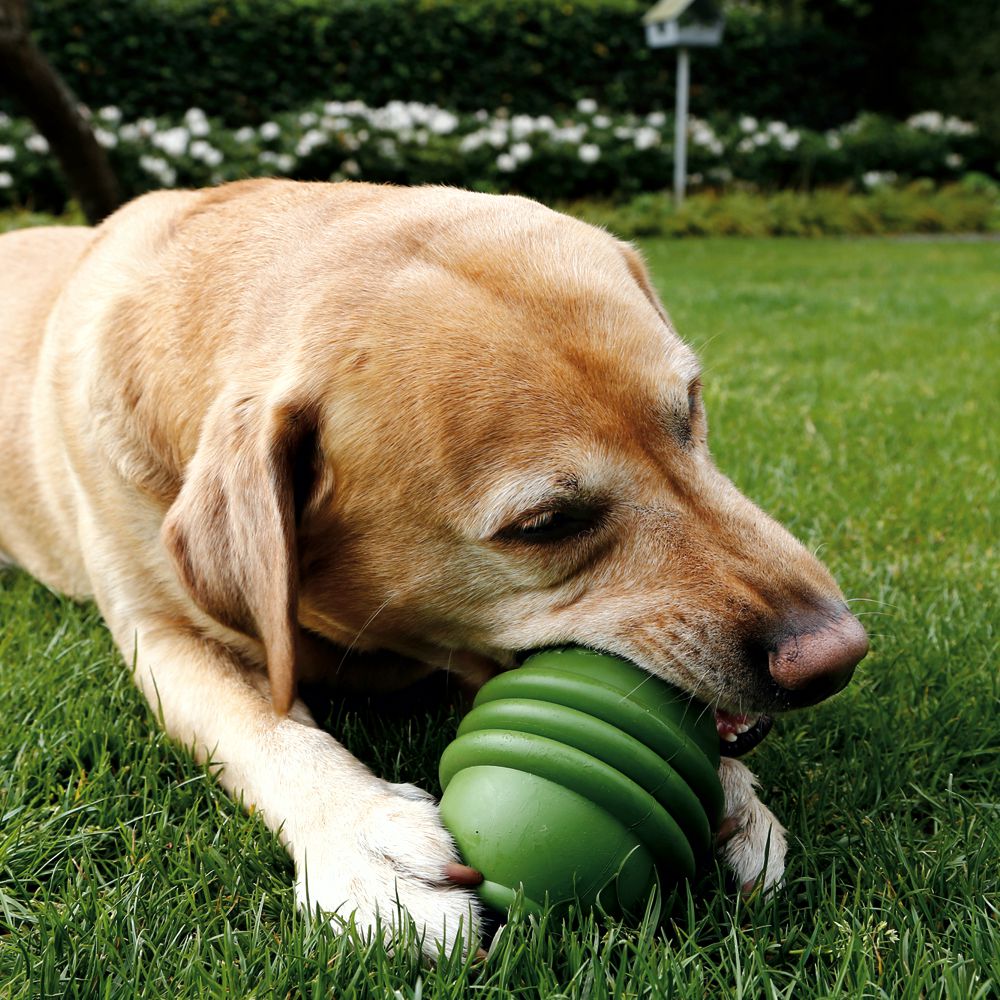 Beeztees SUMO PLAY - S/M/L - Apportierspielzeug Snackspielzeug Kauspiel Hund