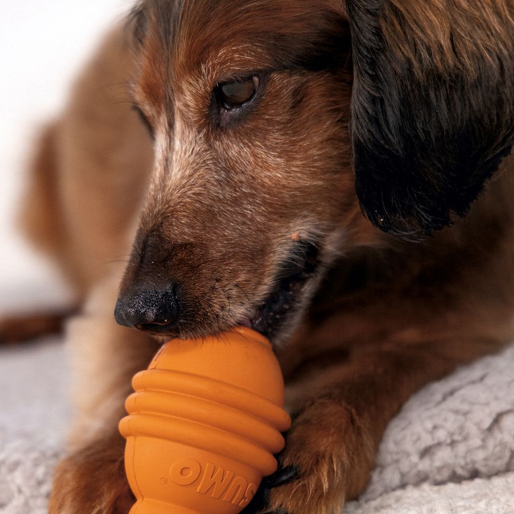 Beeztees SUMO PLAY - S/M/L - Apportierspielzeug Snackspielzeug Kauspiel Hund