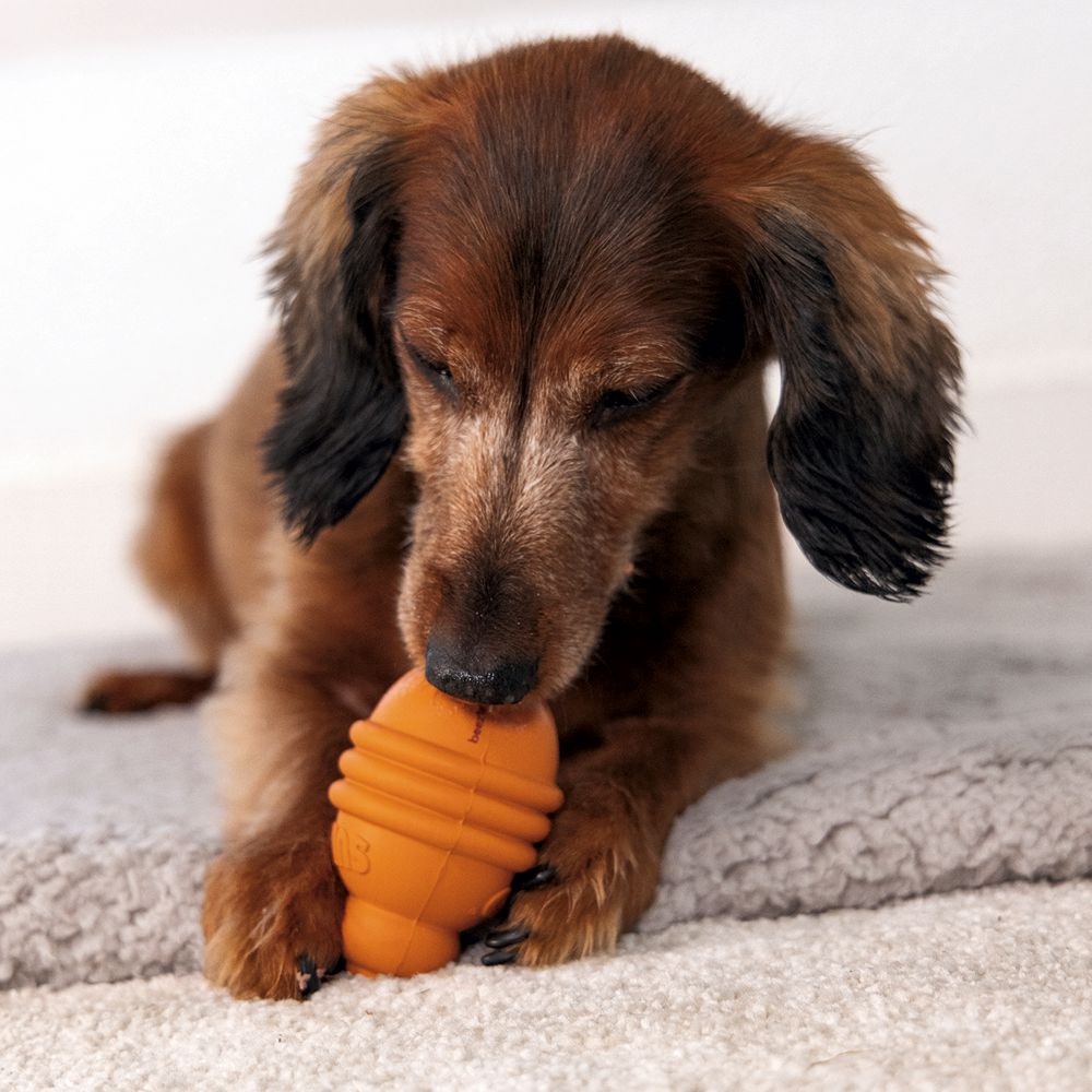 Beeztees SUMO PLAY - S/M/L - Apportierspielzeug Snackspielzeug Kauspiel Hund