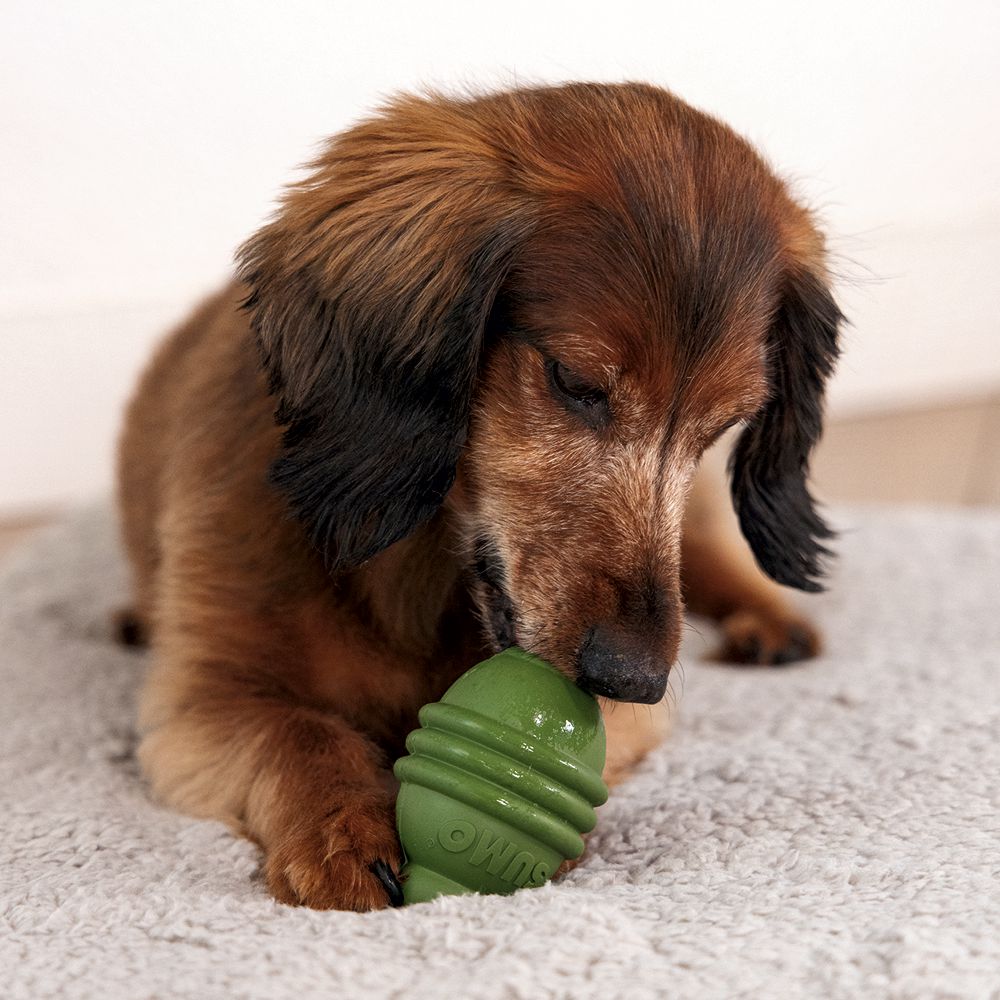 Beeztees SUMO PLAY - S/M/L - Apportierspielzeug Snackspielzeug Kauspiel Hund